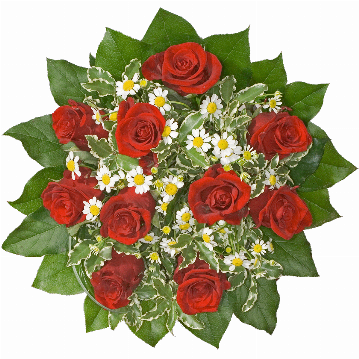 Blumenstrauß ″Ich liebe Dich″ bestehend aus 10 rote Rosen, weißen Kamillenblüten, Pittosporum, Baergras, Salal