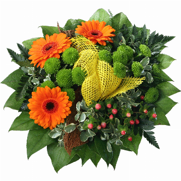 Blumenstrauß Es werden 3 orange Minigerbera,
2 grüne Chrysanthemen, Hyperikum, Juteschleife, Kokosrinde,
Pistazie, Pittossporum, Plumosus, Lederfarn und Salal verarbeitet.
