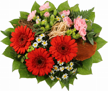 Blumenstrauß Der Strauß besteht aus 3 rote Minigerbera, rosa Spraynelken, Kamillenblüten, Bupleurum, Pistazie, Salal, Kokosrinde, Bastschleife.