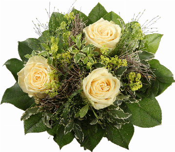 Blumenstrauß Gebunden wird der Strauß aus 3 cremefarbene Rosen, Panikumgräser, Bupleurum, Euphorbia Spinosa, Pistazie, Pittosporum und Salal.