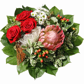 Blumenstrauß 1 Prothea, 3 rote Rosen, weiße Chrysanthemen, Hyperikum, Sisal, Kokosrinde, verschiedenes Beiwerk.