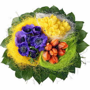 Blumenstrauß Der Strauß besteht aus 10 Narzissen, 7 Anemonen, 7 Tulpen, Heidelbeerkraut und Salal.