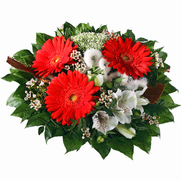Blumenstrauß 3 rote Gerbera, weiße Alstromerien, Waxflower, Trachelium, Kokosrinde, verschiedenes Beiwerk.