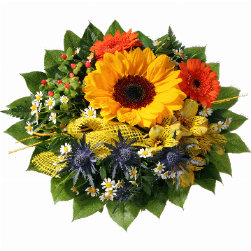 Blumenstrauß 1 Sonnenblume, 2 orange Minigerbera, Kamillenblüten, Hyperikum, gelbe Alstromerien, blaue Disteln, Juteschleife, verschiedenes Beiwerk.