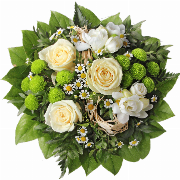 Blumenstrauß 3 cremefarbene Rosen, 2 weiße Freesien, grüne Chrysanthemen, Kamillenblüten, Bastschleife, verschiedenes Beiwerk.