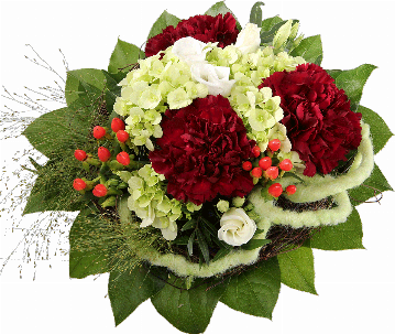 Blumenstrauß 1 Hortensienblüte, 3 bordeauxrote Nelken, Hyperikum, Panikumgras, weißer Lisianthus, Filzschleife, verschiedenes Beiwerk.