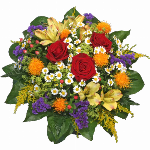 Blumenstrauß ″Sommerfrische″ bestehend aus 3 rote Rosen, 2 Alstromerien, Kamillenblüten, Statice, orange Disteln (Chartamus), Solidago, Hyperikum, verschiedenes Beiwerk.
