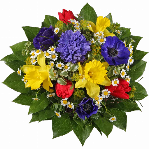 Blumenstrauß ″Der Frühling ist da″ bestehend aus Blaue Hyazinthe, 3 rote Tulpen, 3 Narzissen, 3 blaue Annemonen, Kamillenblüten, verschiedenes Beiwerk.