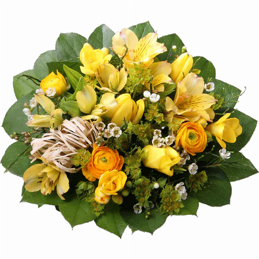 Blumenstrauß ″Erste Sonnenstrahlen″ bestehend aus 3 gelbe Tulpen, 3 Ranunkel, 3 gelbe Freesien, 2 gelbe Alstromerien, Waxflower, Heidelbeerzweige, Bastschleife, verschiedenes Beiwerk.