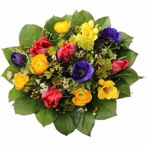 Blumenstrauß ″Frühling″ bestehend aus 4 rote Tulpen, 3 blaue Anemonen, 3 gelbe Freeseien, 3 Ranunkel, Heidelbeerzweige, Waxflower, verschiedenes Beiwerk.