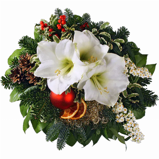 Blumenstrauß ″Rot Weiß″ bestehend aus Weiße Amaryllis, weiße Euphorbienranken, Orangenscheiben, Ilex, rote Weihnachtskugel, Zapfen, Engelshaar, verschiedenes Beiwerk.