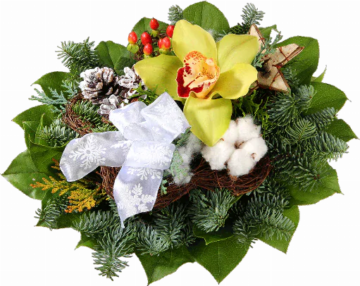 Blumenstrauß ″Väterchen Frost″ bestehend aus 1 Orchideenblüte, Hyperikum, Kiefernzapfen, Birkenholzstern, Baumwolle, Deko-Schleife, winterliches Beiwerk.