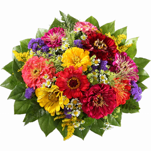 Blumenstrauß ″Blumenwiese″ bestehend aus Ein Sommertraum!
10 Zinnien, bunt gemischt, Kamillenblüten, Solidago, Panikumgräser, verschiedenes Beiwerk.