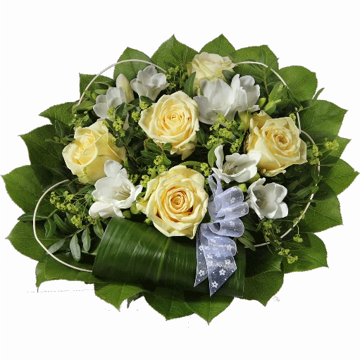 Blumenstrauß ″Traut Euch″ bestehend aus 5 cremefarbene Rosen, 4 weiße Freesien, Weiße Schleife, verschiedenes Beiwerk.