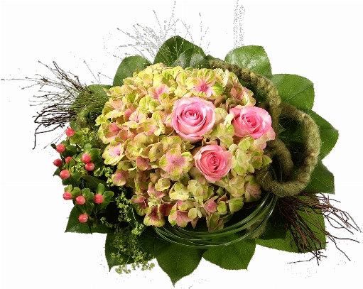 Blumenstrauß ″Sorry″ bestehend aus 1 Hortensie, 3 rosa Rosen, Hyperikum, Panikum, Filzschleife, Rebenzweige, verschiedenes Beiwerk.