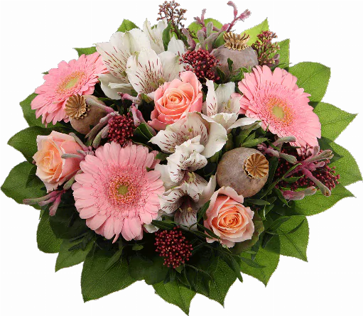 Blumenstrauß ″Kompliment″ bestehend aus 3 rosa Gerbera, 3 rosa Rosen, känguruhpfötchen, Mohnkapseln, Skimmiablüten, verschiedenes Beiwerk.