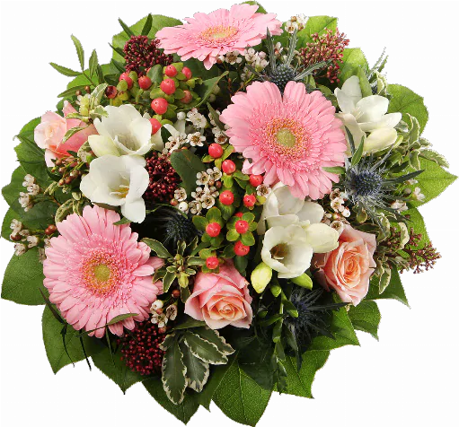 Blumenstrauß ″Happy Birthday″ bestehend aus 3 roas Gebera, 3 rosa Rosen, 2 weiße Freesien, blaue Disteln, Waxflower, Hyperikum, Skimmia, verschiedenens Beiwerk.