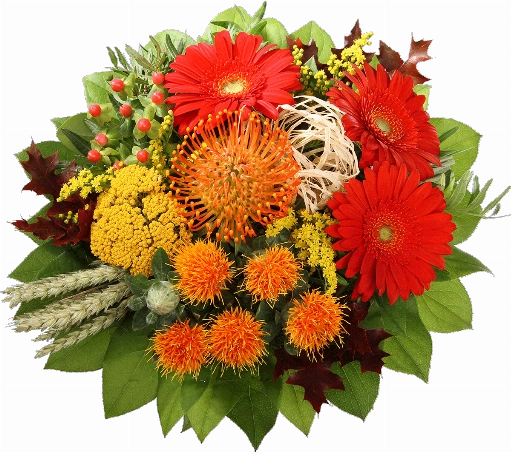 Blumenstrauß ″Herbstduft″ bestehend aus 3 rote Gerbera, 1 Nadelprothea, oranger Chartamus, gelbe Schafgarbe, Hyperikum, Eichenlaub, Getreide, verschiedenes Beiwerk.