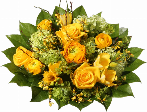 Blumenstrauß ″Sonnengruß″ bestehend aus 3 gelbe Rosen, 3 gelbe Freesien, 3 gelbe Ranunkel, gelber Ginster, Schneeball (Viburnum), Heiderbeerkraut, verscheidenes Beiwerk.