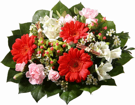 Blumenstrauß ″Verzeihung″ bestehend aus 3 rote Minigerbera, 2 weiße Alstromerien, 2 rosa Spraynelken, Waxflower, Hyperikum, verschiedenes Beiwerk.