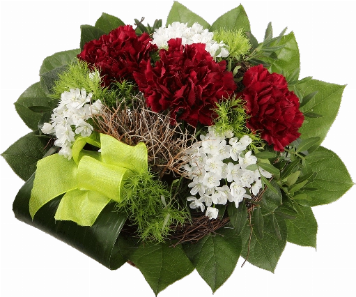 Blumenstrauß ″Freundschaft″ bestehend aus 3 Bordeauxrote Nelken, weiße Alliumblüten, grüne Schleife, verschiedenes Beiwerk.